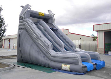 Đôi Slide Way Trượt Inflatable thương mại Xám PVC bên ngoài