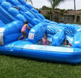 Màu xanh Huge Inflatable Whale Trượt Nước Comercial Kép Lane Cho Trẻ Em