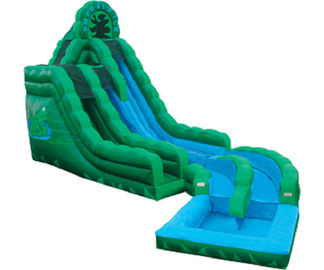 Emerald xanh Frog Fun nước Slide, Inflatable đôi Rush trượt ướt Slide