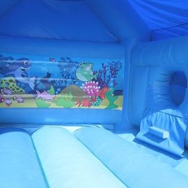 Blue Sea World Inflatable Bouncing House đông lạnh cho trẻ em bên
