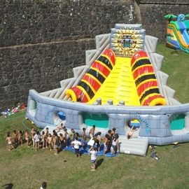 Voodoo kim tự tháp lớn Inflatable Slides, 7m chiều cao trẻ em ngoài trời Slides