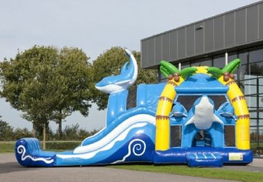 2 Trong 1 Dolphin Big Bouncy Lâu đài Inflatable Với Wacky Dual Slide Đối với Amucement
