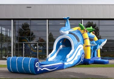 2 Trong 1 Dolphin Big Bouncy Lâu đài Inflatable Với Wacky Dual Slide Đối với Amucement