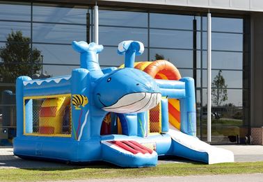 Whale Inflatable Combo