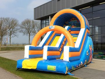 Tùy chỉnh Dương Trượt Inflatable thương mại chống cháy Inflatable Bounce Slide