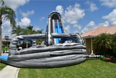 Tùy chỉnh Vườn Kép Lane Inflatable Nước Slides Hồ Bơi Cho Vui Vẻ
