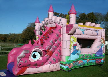 Logo In ấn Pink Fairytale Bounce Và Slide Inflatable Combo Castle cho trẻ em