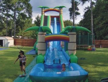 Màu xanh và màu xanh lá cây Inflatable đôi trượt và trượt với hồ bơi 30 Foott cao cho công viên