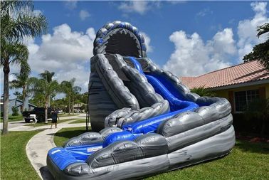 Thương mại Màu Xanh Huge Inflatable Slides In Logo Hoang Dã Rapids 24ft Kép Ngõ Trượt Với ​​Hồ Bơi