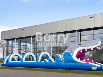 Bền Plato PVC Tarpaulin Inflatable nước Slides cho mùa hè trò chơi bơm hơi