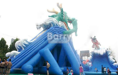 Tùy chỉnh PVC dành cho người lớn Rồng Giant Inflatable Slide Blow Up Trượt Và Slide