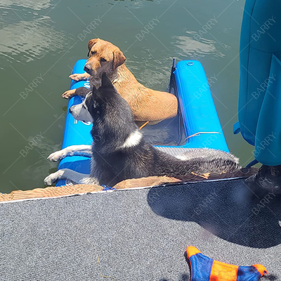 Bể bơi hồ sông gấp thú cưng con chó cầu thang nổi bơm nước con chó cho bến cảng