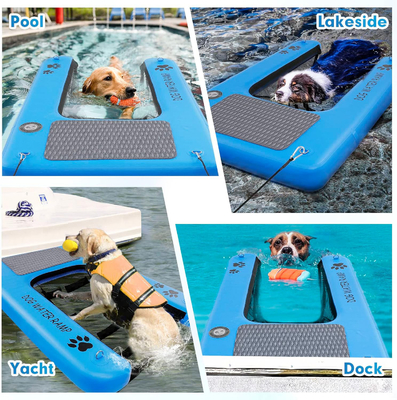 Giúp chó ra khỏi nước với Bãi thả hơi cho chó Bể bơi Bãi thả chó cho hồ bơi, thuyền, bến cảng