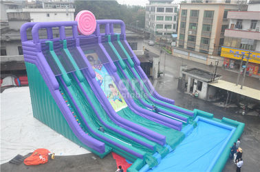 Cool 5 Lanes Giant Inflatable nước Slide Với Big Pool / Adult Games Inflatable