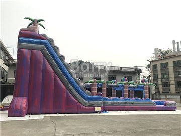 Trẻ em màu tím dành cho người lớn Inflatable Slide nước với hồ bơi, trượt n Slide