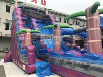 Trẻ em màu tím dành cho người lớn Inflatable Slide nước với hồ bơi, trượt n Slide