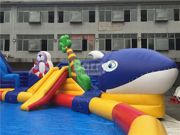 Mùa hè sắc nét inflatable công viên nước, cá sấu đảo inflatable trượt nước