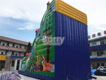 11X6X9 m Trượt Inflatable Thương Mại, Bạt PVC Thổi Lên Nhảy Lâu Đài