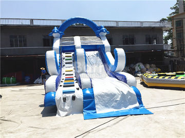 Màu xanh nhỏ Inflatable Dolphin trượt với vật liệu PVC / Blow Up Leo tường