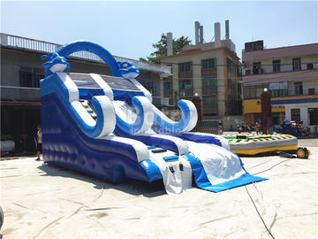 Màu xanh nhỏ Inflatable Dolphin trượt với vật liệu PVC / Blow Up Leo tường