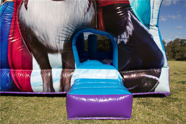 Trong nhà hoặc ngoài trời Inflatable Bouncer, đông lạnh đội trẻ em nhảy lâu đài với bạt PVC