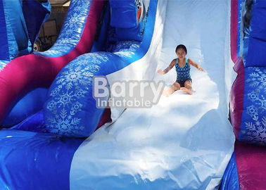 Trượt nước PVC đông lạnh 0,55mm với hồ bơi / trò chơi công viên nước giải trí khổng lồ