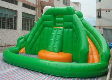 Mini Trượt Inflatable Thương Mại Với Leo Tường, Ếch Phong Cách Hồ Bơi Bơm Hơi Trượt