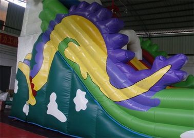Rồng Trippo trượt Inflatable thương mại với bền Plato PVC Tarpaulin