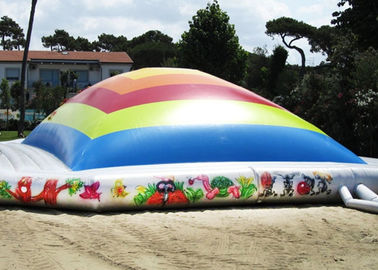 An toàn ngoài trời Inflatable Garden Đồ chơi / Inflatable Air Bag Với EN14960