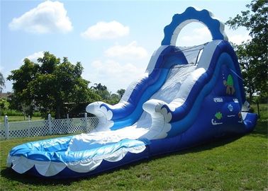 Mini Inflatable Slide nước, Hồ bơi bơm hơi nhỏ Slide Đối với công viên nước