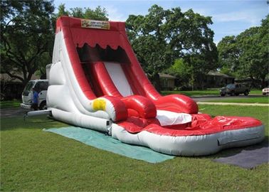Duyên dáng đầy màu sắc chống cháy trượt nước inflatable và trượt với hồ bơi
