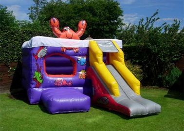 Đồng cỏ Bouncer Inflatable, Chất liệu PVC Trượt nhỏ Bouncer cho trẻ em