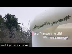 White Wedding Jumper Pvc Bouncy Castle Với Slide Và Ball Pit