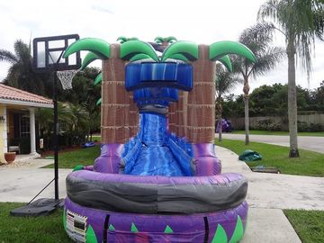 Thiên đường màu tím Inflatable nước Slide Với Pool / Adult Inflatable Wet Slide
