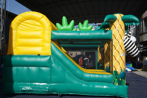 Trẻ em Tarpaulin Inflatable Jumping House Bouncy Castle Combo Với Slide