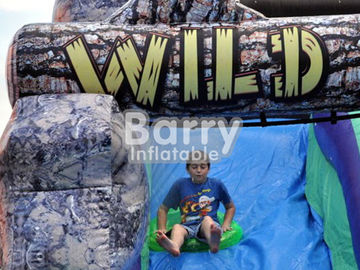 An toàn Wild Rapids Inflatable Slides nước với vòng bơi / Air Blower