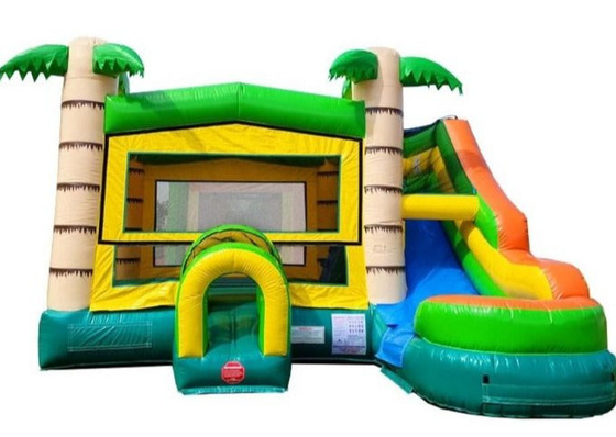 Nhà sử dụng thổi rừng Bounce nhà với cây cọ trượt thổi bouncer