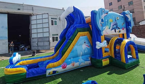 Nhà nhảy Dolphin theo yêu cầu với slide dưới nước thế giới chủ đề nhảy lâu đài cho trẻ em