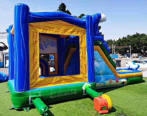 Nhà nhảy Dolphin theo yêu cầu với slide dưới nước thế giới chủ đề nhảy lâu đài cho trẻ em