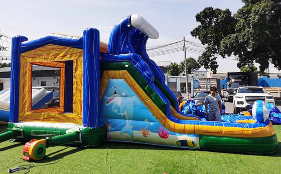 Nhà nhảy Dolphin theo yêu cầu với slide dưới nước thế giới chủ đề nhảy lâu đài cho trẻ em