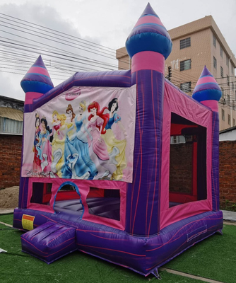 Free Design Princess Bounce House For Sale Lâu đài nhảy thương mại