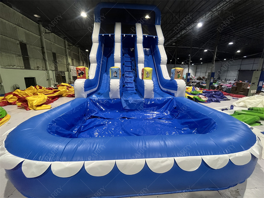 Công viên giải trí ngoài trời vườn Big Kid Bánh trượt nước bơm đôi cho thanh thiếu niên sân sau