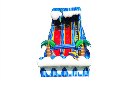 Tiêu chuẩn thương mại sân sau ngoài trời lớn 24ft cá mập nhìn hai làn trượt cho trẻ em và người lớn