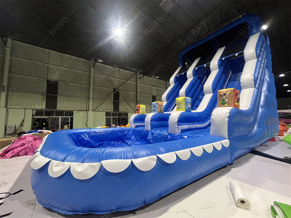 Công viên giải trí ngoài trời vườn Big Kid Bánh trượt nước bơm đôi cho thanh thiếu niên sân sau