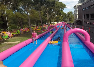 Inflatable thương mại lớn trượt và trượt đôi ngõ trong màu hồng