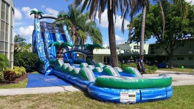 Màu xanh Jungle Theme lớn đôi Lane trượt nước với hồ bơi lớn
