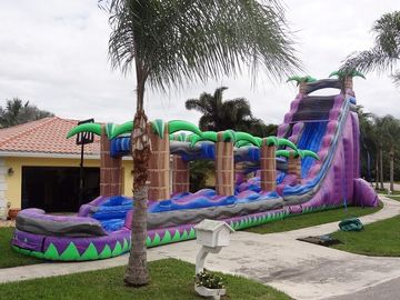 Thiên đường màu tím Inflatable nước Slide Với Pool / Adult Inflatable Wet Slide