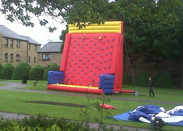 Thể thao an toàn Inflatable Rock Climbing Wall Cho thuê trên đất với vật liệu PVC