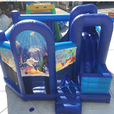 EN71 Sân sau bơm hơi công chúa Bounce House With Slide