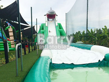 Trượt nước Hippo Giant chuyên nghiệp Kích thước trượt tùy chỉnh với hồ bơi nước